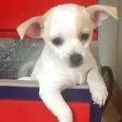 Ana Lourdes Herreragolarte's photo