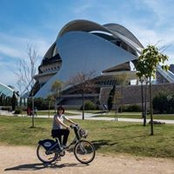 Fiona Anderson's photo