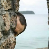 Aaron OConnor's photo