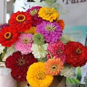Leah Peroni's photo