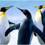 Rudy Pena's photo