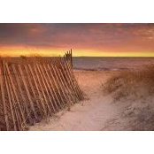 Paul Keating's photo