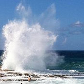 Connor Whitman's photo
