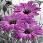 Jenny Downing's photo