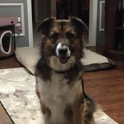 Kathy White's photo