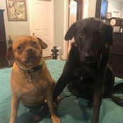 Rosemary Schempp's photo