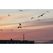 Lisa McTaggart's photo