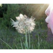 Heidi Chung's photo