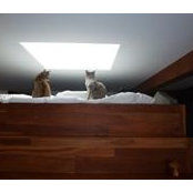 Shauna Peck's photo