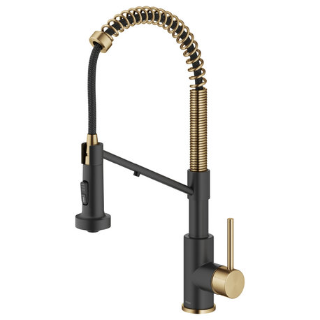 Bolden Commercial Style 2-Function Pull-Down 1-Handle 1-Hole Kitchen Faucet, Brushed Brass/ Matte Black (Filter Kitchen Faucet)