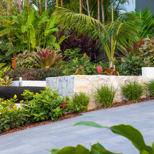 Tropical Garden