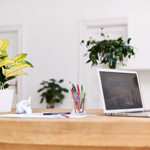 How Small Businesses Are Creating Healthy Office Spaces