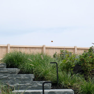 Modern Oceanfront Landscape - Cohasset