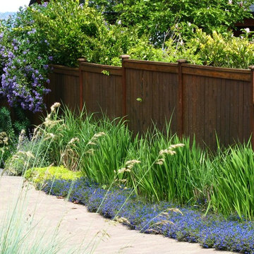 West Coast contemporary front yard