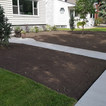 ready to lay some new sod