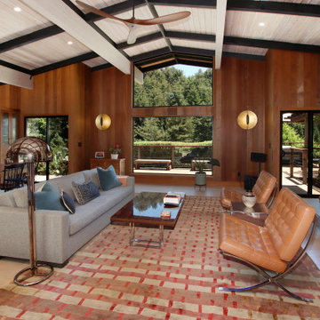 Mid-Century Modern living room
