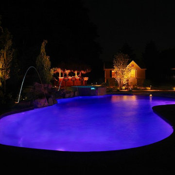 Tiki Bar Pool Plus