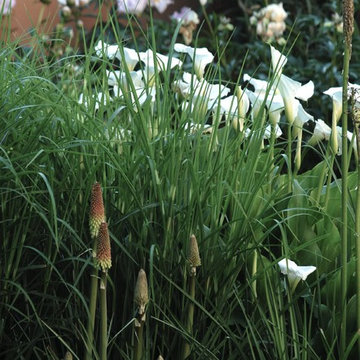 Giardino Liberty