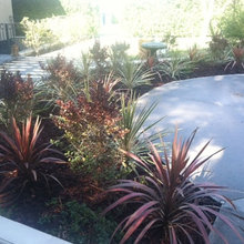 drought tolerant landscaping