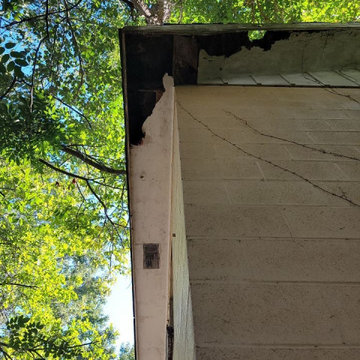 Termite Damage Is at it Again