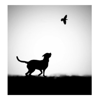 "The Clue" Digital Paper Print by Hengki Lee, 17"x18", 22"x24