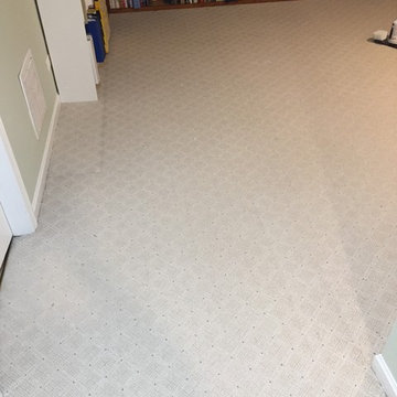 Aurora Basement Carpet Cleaning