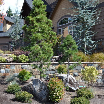 Front Terraced Landscape