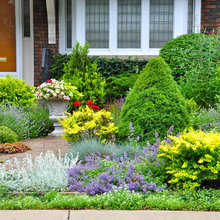 Landscape Ideas