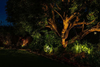 Photo of a landscaping in Other.