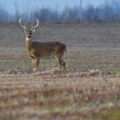 Justin Cissell's photo