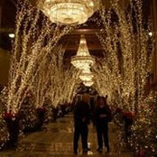Marjorie Davis Trimm's photo