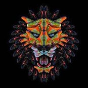Sebastian Loader's photo