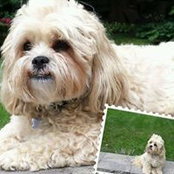 Carmela Marrone's photo