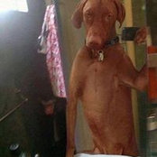 Chris Coleman's photo