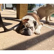Frank Manor's photo