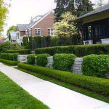 Landscape Ideas