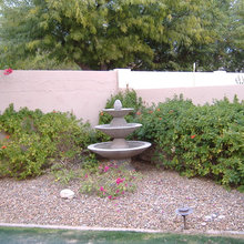 Yard Holly Street