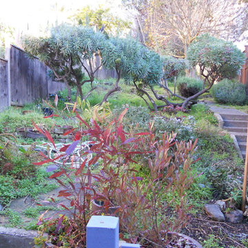 San Francisco Victorian Modern