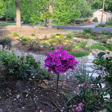 Front Yard Slow and Patient Remodel