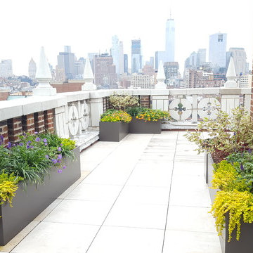 Penthouse with a View