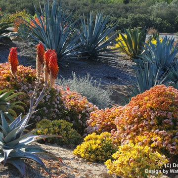 Rancho Santa Fe property