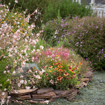 Xeriscape Landscape - Lush Green with Low-Water Plants
