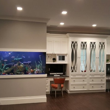 Central New Jersey Kitchen Aquarium