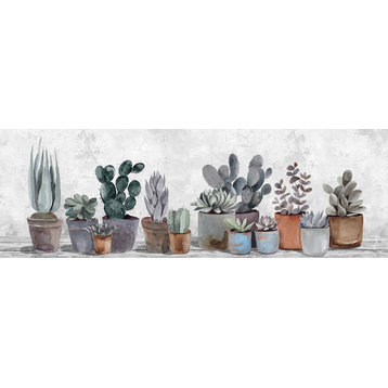 "Succulent Collection" Painting Print on Wrapped Canvas