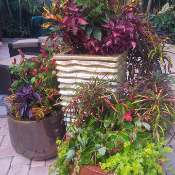 Colorful Containers