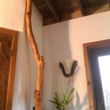 Treehouse