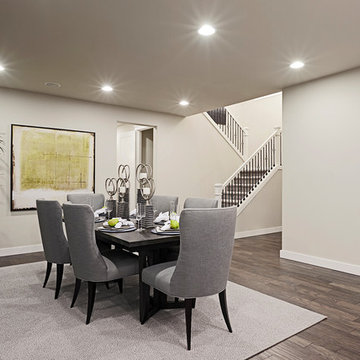 Daley model home in Washington