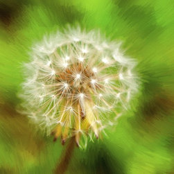Fine Art Photography - Digital paintings - Products