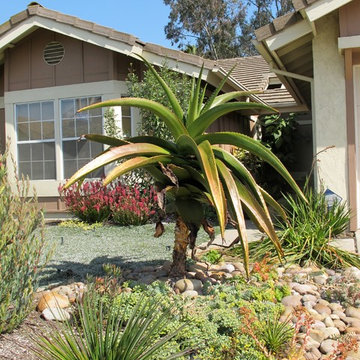MIra Mesa Waterwise Mediterranean Suburban