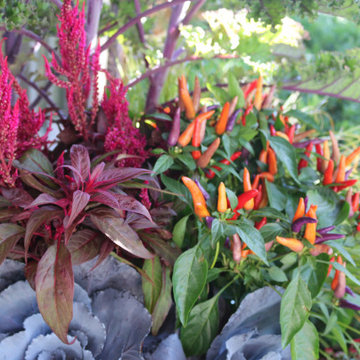 Seasonal Display